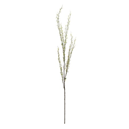 Vickerman 50 in. Green Mountain Prunus Stem FM180101